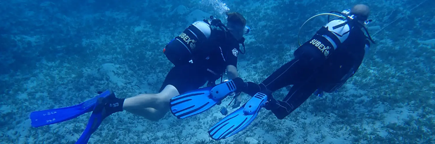 NITROGEN – THE INVISIBLE ENEMY